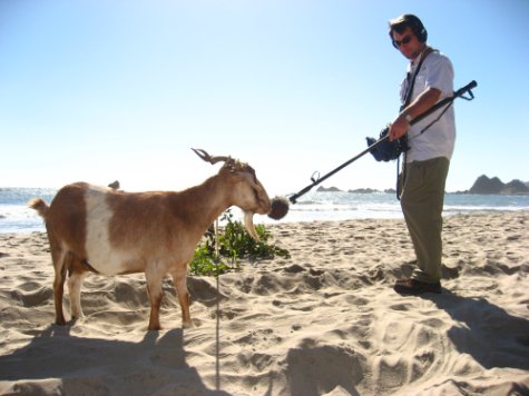 Recording Goat Nat's