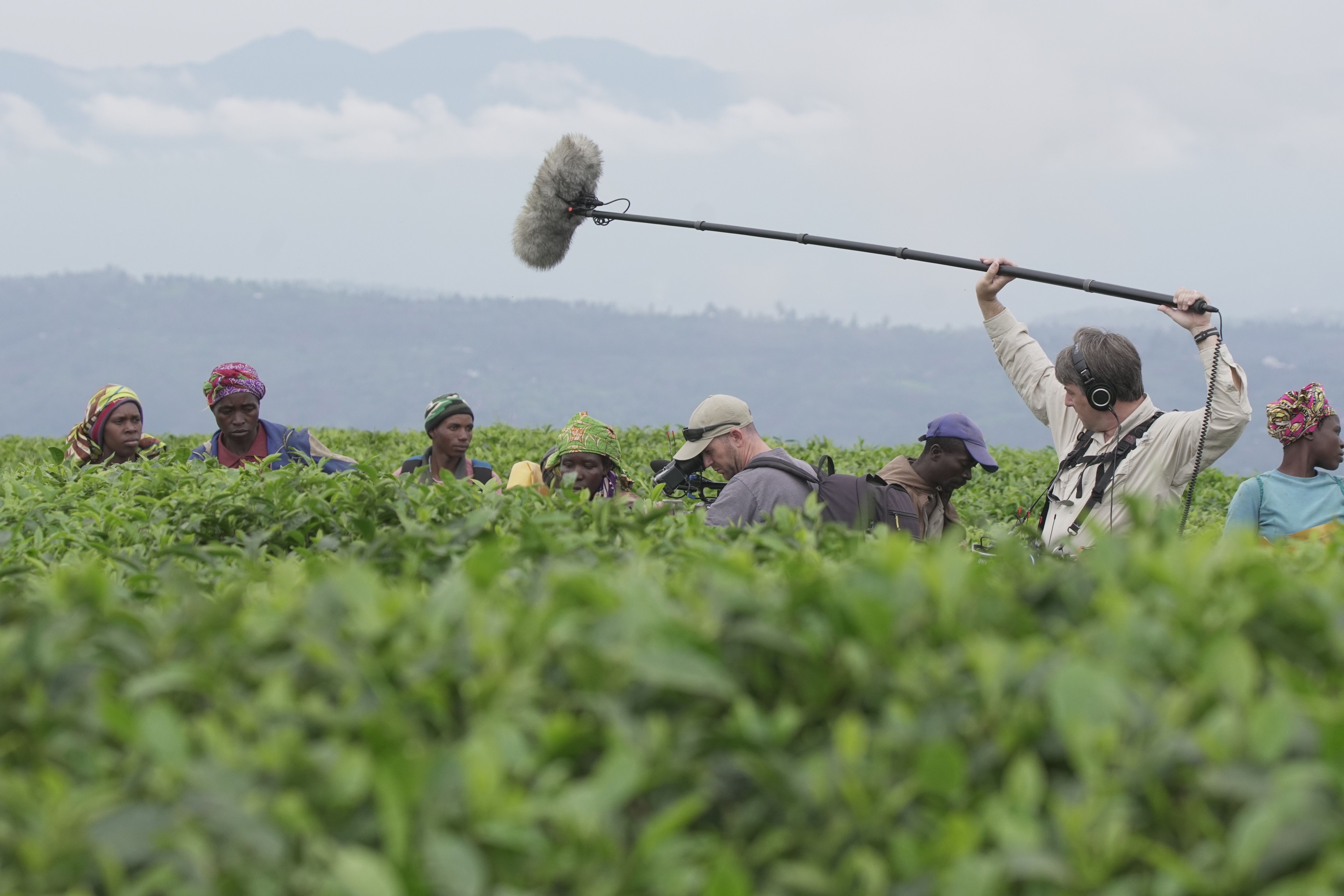 Tea Farm in Rwanda