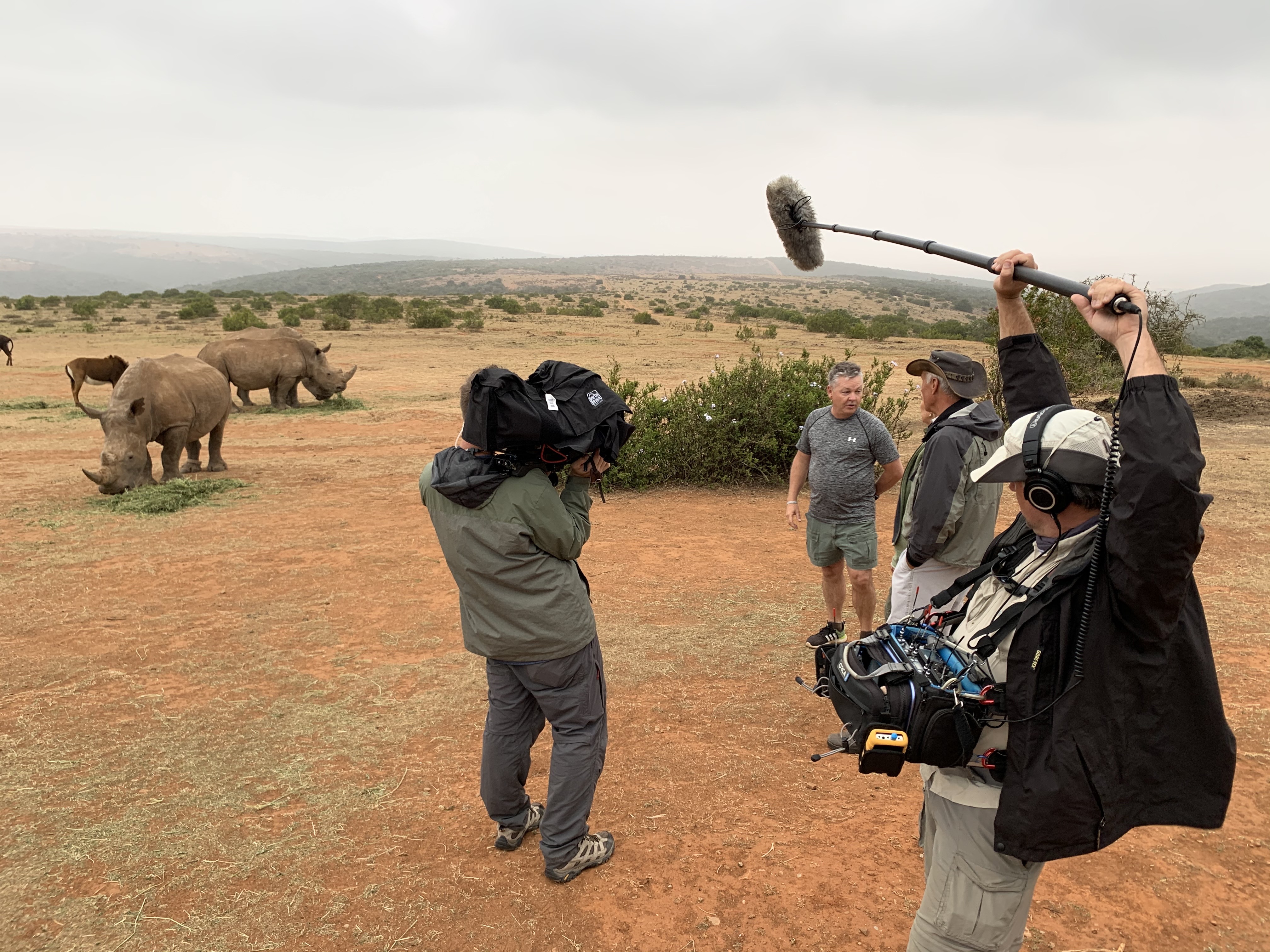 Rhinos in South Africa